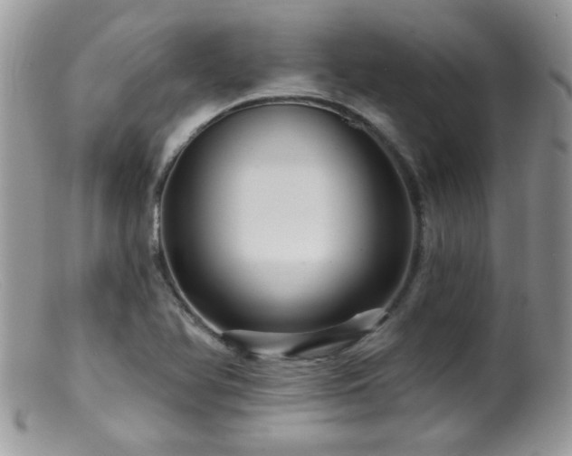 X0000099381366200805151608