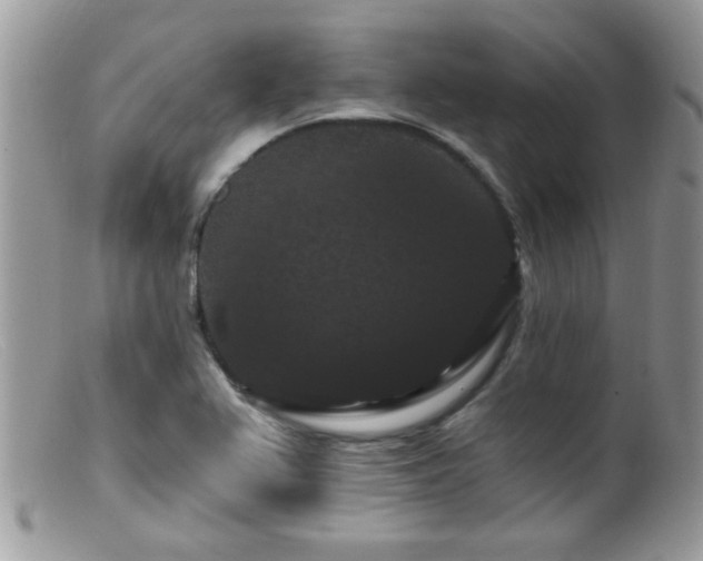 X0000099381367200805151608