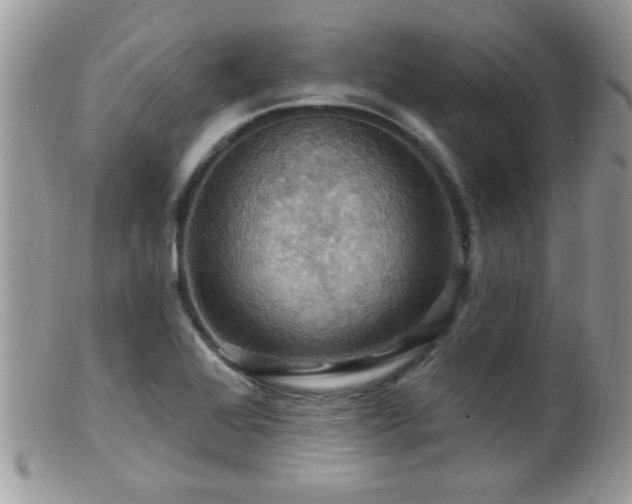 X0000099381368200805151608