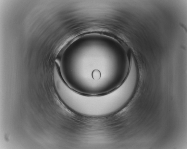 X0000099381369200805151608