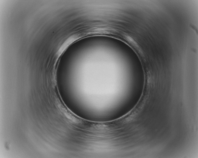 X0000099381370200805151608