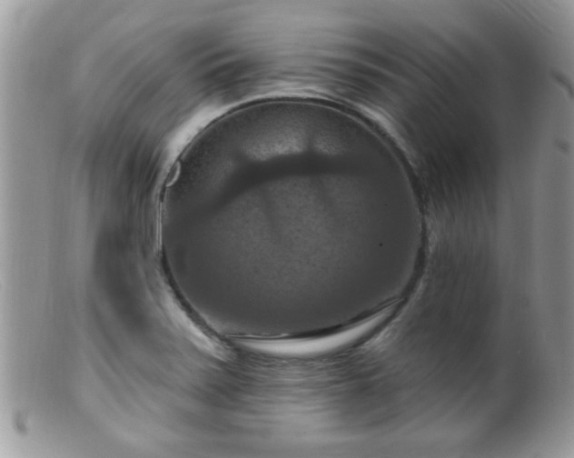 X0000099381371200805151608