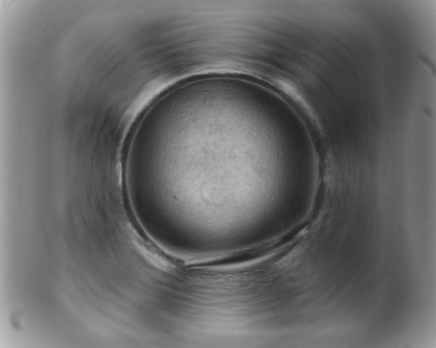 X0000099381372200805151608