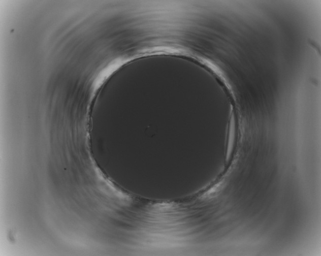 X0000099381373200805151608