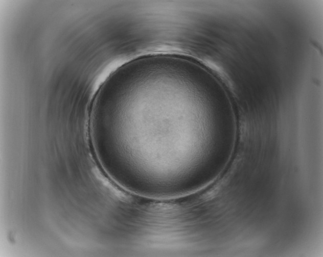 X0000099381374200805151608