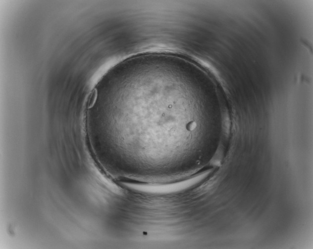 X0000099381375200805151608