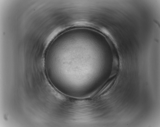 X0000099381376200805151608