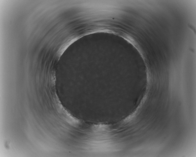 X0000099381377200805151608