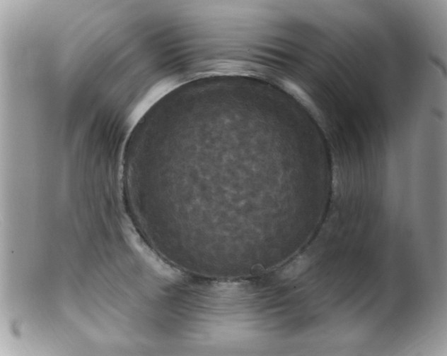 X0000099381378200805151608