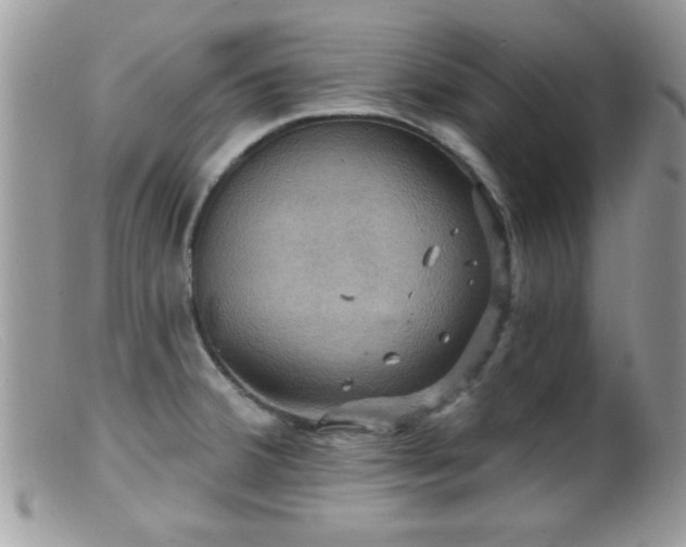 X0000099381380200805151608