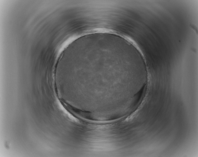 X0000099381381200805151608