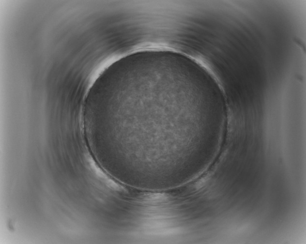 X0000099381382200805151608