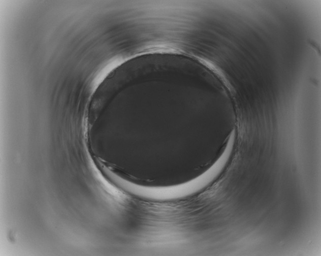 X0000099381383200805151608