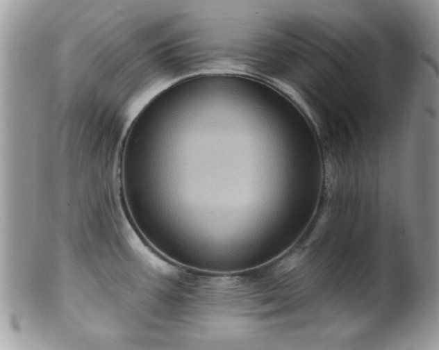 X0000099381387200805151608