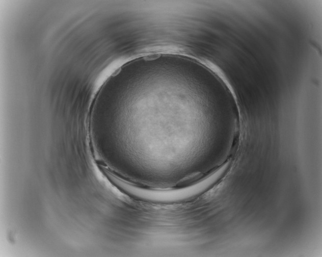 X0000099381389200805151608