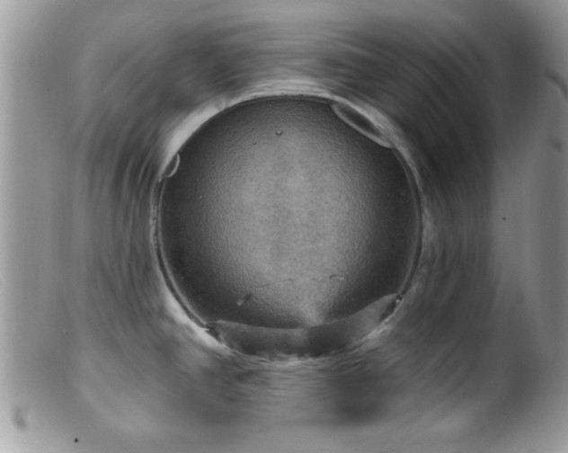 X0000099381390200805151608