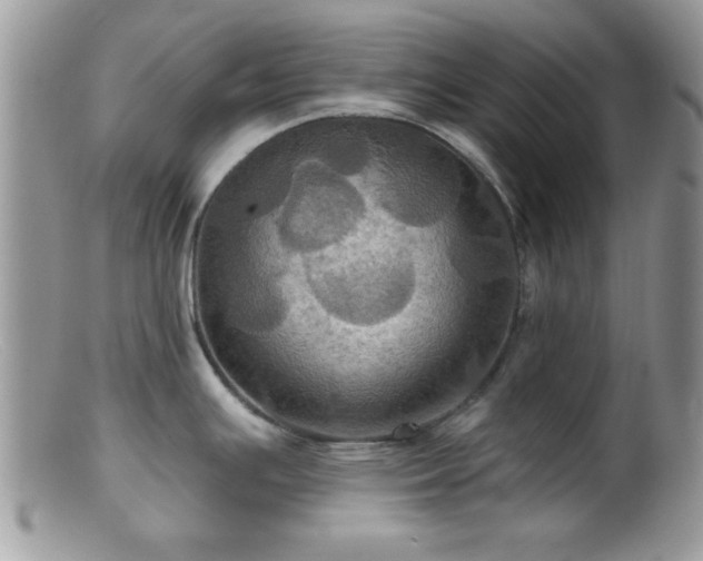 X0000099381391200805151608