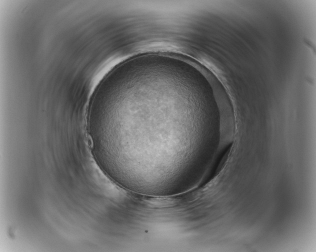 X0000099381392200805151608