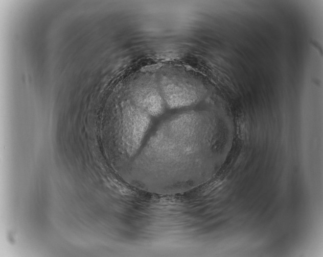 X0000099381393200805151607
