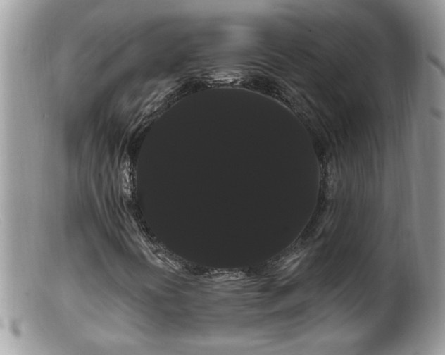 X0000099381394200805151607