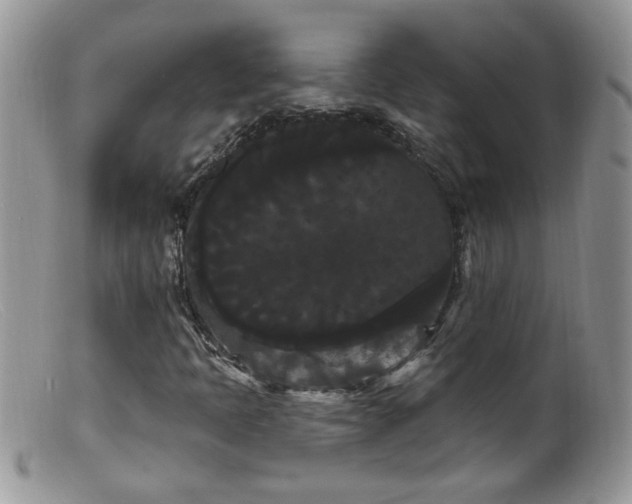 X0000099381397200805151607