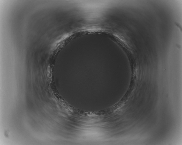 X0000099381398200805151607