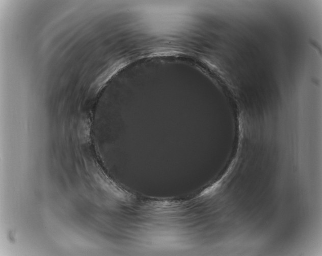 X0000099381401200805151607