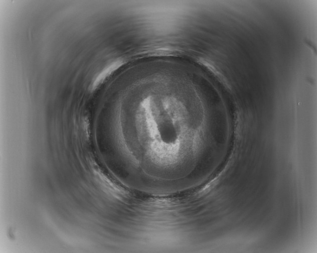 X0000099381402200805151607