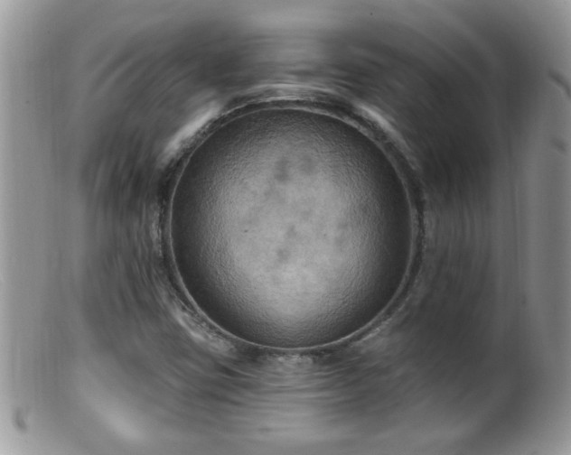 X0000099381403200805151607