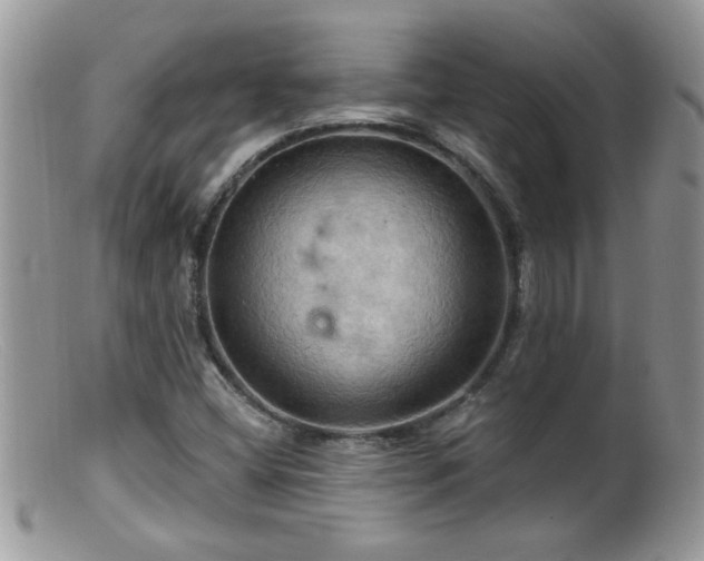 X0000099381404200805151607