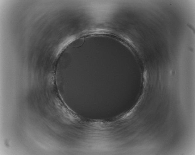 X0000099381405200805151607