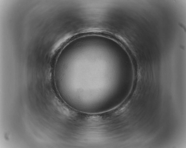 X0000099381406200805151607