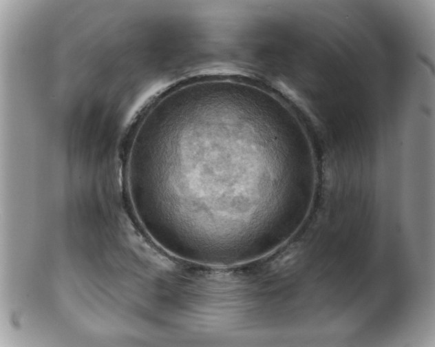 X0000099381408200805151607