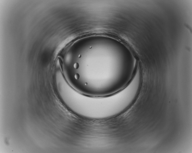 X0000099381410200805151607