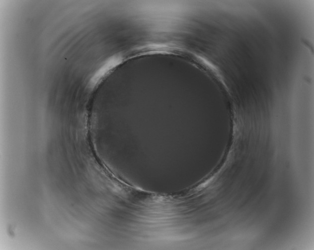 X0000099381411200805151607