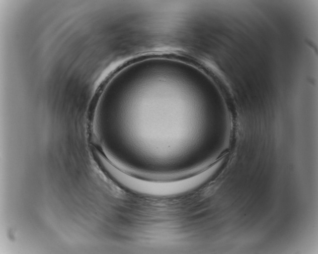 X0000099381412200805151607