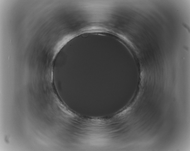 X0000099381413200805151607