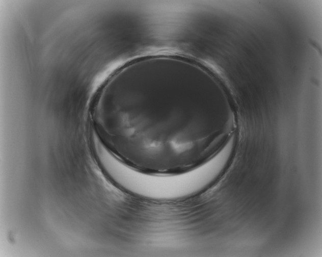 X0000099381414200805151607