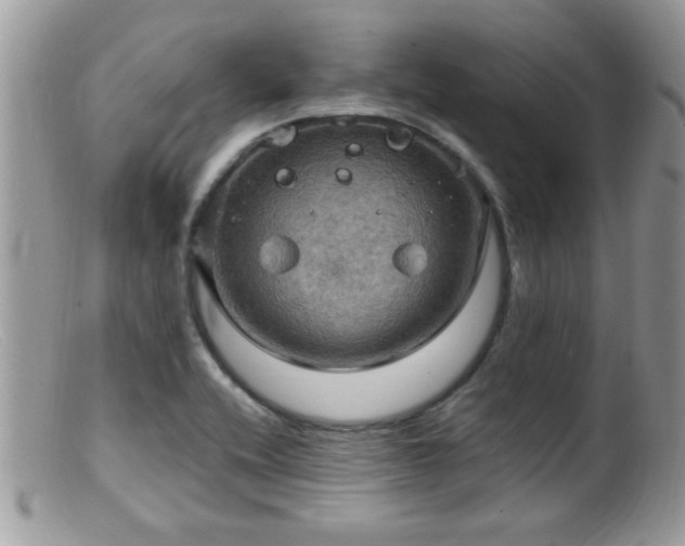 X0000099381416200805151607