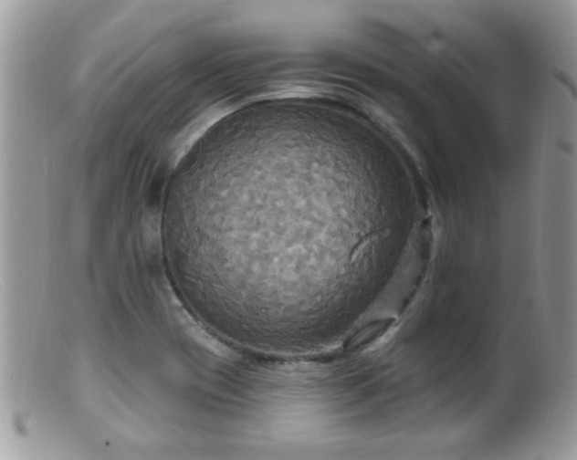 X0000099381417200805151607