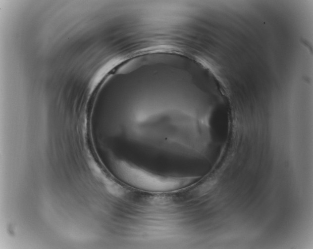 X0000099381418200805151607