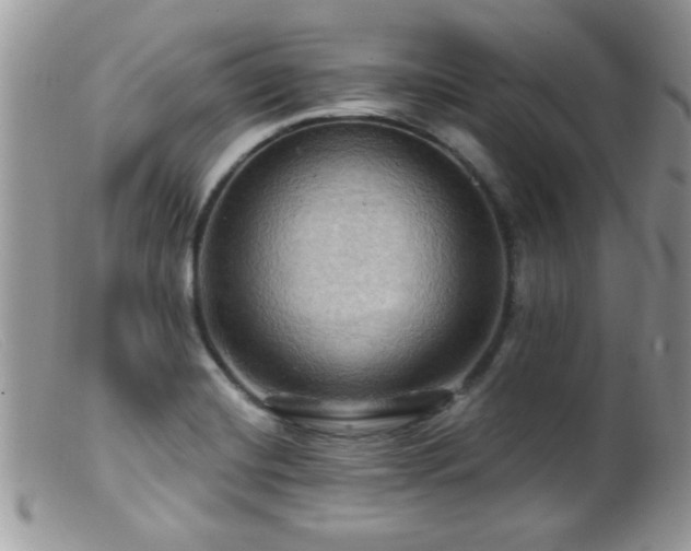 X0000099381420200805151607