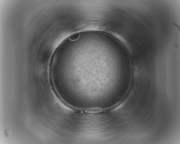 X0000099381423200805151608