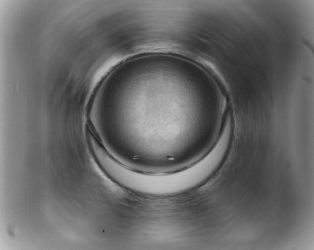 X0000099381424200805151608