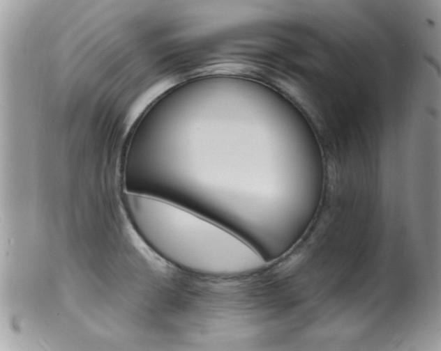 X0000099381426200805151608