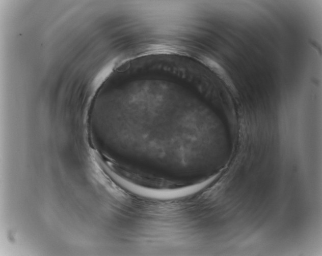 X0000099381427200805151608