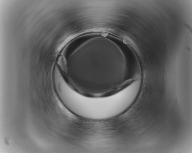 X0000099381428200805151608