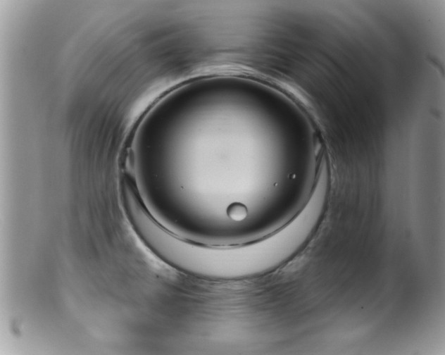 X0000099381430200805151608