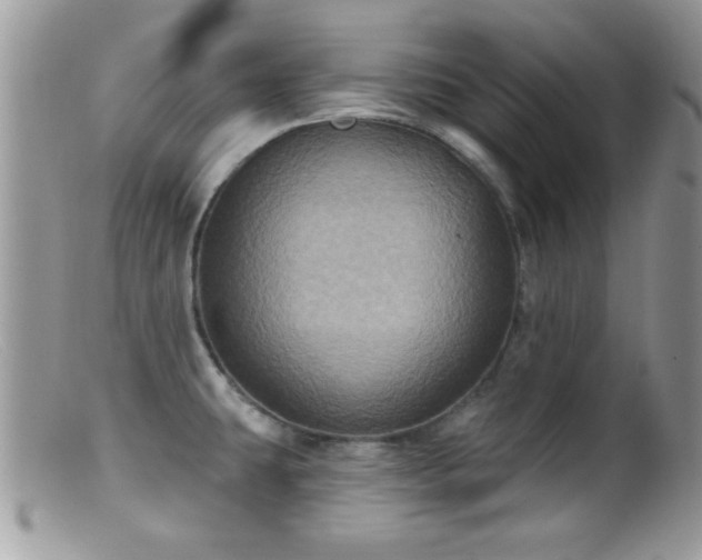 X0000099381431200805151608