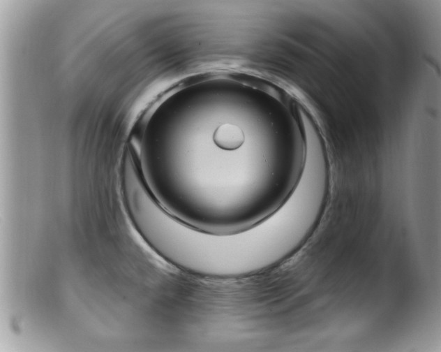 X0000099381432200805151608